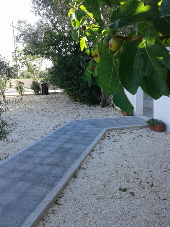Il Giunco B&B Vieste Kültér fotó